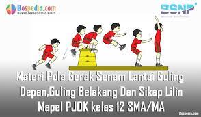 Materi senam lantai kelas x semester 2. Materi Pola Gerak Senam Lantai Guling Depan Guling Belakang Dan Sikap Lilin Mapel Pjok Kelas 12 Sma Ma Bospedia