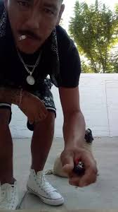 Videos de Mickey Morales (@carlos.miguel.mor33) con “sonido original