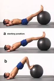 Bottom rib stays on the abs the whole time. Stability Ball Leg Curl Bodybuilding Wizard