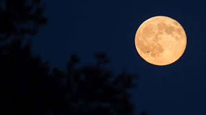 With simpsons memes and godzilla fan art, of course. Cold Moon 2020 Check Date Timings In India To Watch Last Full Moon Of The Year