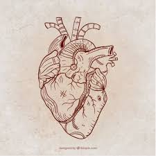 Telechargez Main Coeur Steampunk Dessine Gratuitement Coeur Humain Dessin Coeur Main Dessin Coeur