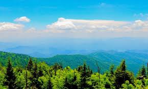 We did not find results for: Excellent If You Visit Very Early In The Morning Review Of Clingmans Dome Great Smoky Mountains National Park Tn Tripadvisor