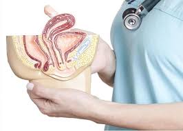 Image result for cervix position