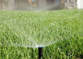 Da ist man mal ein paar tage nicht zu hause und sofort knallt die sonne. Bewasserung Technik Fur Ihren Garten