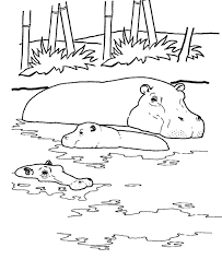 Hippopotamus coloring page is good for kids to learn about many things. Free Printable Hippo Coloring Pages For Kids