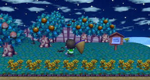 Dresserish Jeff S Accf Blog Animal Crossing City Folk Picture Video
