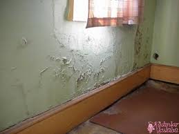 Evde rutubet giderici yöntemleri genellikle bodrum katı ve giriş katı sakinlerinin işine yarıyor. Antibakteriyel Boya Ne Ise Yarar Kadinlar Kulubu