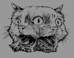 Bildergebnis für janus cat