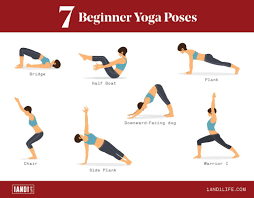 A vinyasa is a smooth transition between asanas in styles of modern yoga as exercise such as vinyasa krama yoga, ashtanga vinyasa yoga and bikram yoga, especially when movement is paired with the breath. The Perfect Beginner Vinyasa Flow Yoga Sequence You Can Try At Home