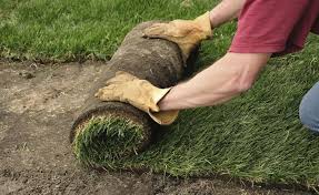 Rollrasen Verlegen Schritt Fur Schritt Rasen Kleiner Garten Balkonien