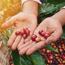 Discover the unique depths of folgers in every cup. Amazon Com Folgers Gourmet Supreme Ground Coffee 24 2oz Grocery Gourmet Food