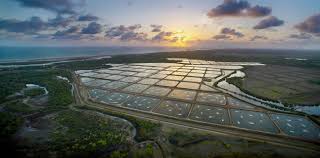 Get directions, reviews and information for sunrise catfish farm in deridder, la. What Is The Environmental Impact Of Aquaculture Gaa