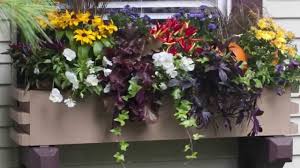 Pennington décor 100507829 window box liner plastic black 5inx24inx5.5in, small. Window Box Liners Why When How To Use Flower Box Inserts