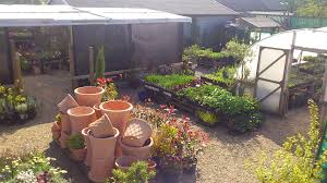 .2700 n midland drive midland, tx 79707 phone: Garden Nursery Ilandscapers