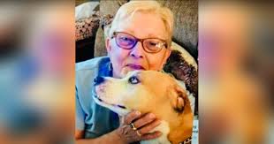 Obituary for Sharon Louise Schad