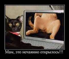 мам это нечянно открылось / котэ (прикольные картинки с кошками) / смешные  картинки и другие приколы: комиксы, гиф анимация, видео, лучший  интеллектуальный юмор.