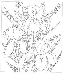 Silrower Flowers Oksana Volkova Picasa Web Albums Flower Drawing Batik Art Fabric Painting