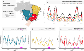 Nascidos na cidade de goianápolis, em goiás. Field And Classroom Initiatives For Portable Sequence Based Monitoring Of Dengue Virus In Brazil Nature Communications