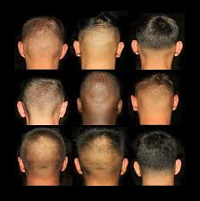 Ponchatoula High School Marine Corps JROTC - We are excited about all the  new PHS students coming to JROTC this year. Many have asked about hair cuts  and styles so here you