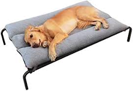 Benvenuto nella sezione brandina per cani taglia grande di eprice. Amazon It Brandina Per Cani