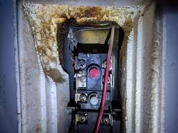 We did not find results for: Water Heater Over Heated Melting Wires Insulation Doityourself Com Community Forums