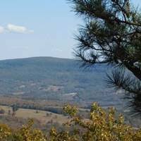 We did not find results for: Jasper Ar Grand Canyon Of The Ozarks