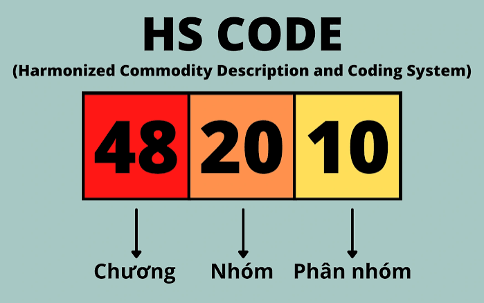 Hướng dẫn tra cứu mã HS Code hàng hóa chính xác nhất 2026