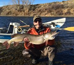 #3 in billings, mt to see if we. Missouri Fly Angler Lands Big Pike On Renowned Trout River Outdoors Billingsgazette Com