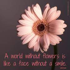 Flowers And Smiles Flower Quotes Finding Hope Blossom Flower