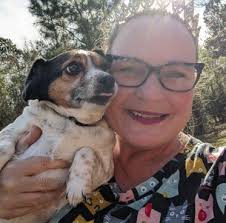 Clarendon Companions by Fox Press