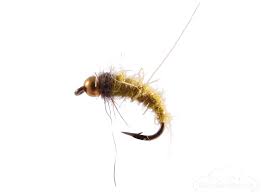Caddis Pupa Hares Ear Bead Head Olive Hare S Ear Caddis Caddis Flies