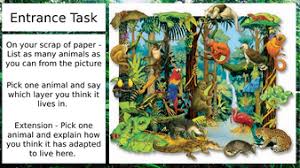 You will find various different types of amphibians, arthropods, birds, mammals, reptiles and aquatic animals. Lesson 5 Animal Adaptations In The Tropical Rainforest Teaching Resources