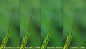 The format was first invented for apple phones but later expanded to other areas as well. What Are You Using To Edit Heif Canon Eos R Talk Forum Digital Photography Review