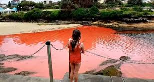 Bondi Beach Turns Blood Red