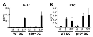 Semantic scholar profile for ng wt, with 3 highly influential citations and 32 scientific research papers. Concurrent Bacterial Stimulation Alters The Function Of Helminth Activated Dendritic Cells Resulting In Il 17 Induction Abstract Europe Pmc