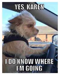 Pin By Novel Creations On Etsy On Karen Memes Karen Memes Funny Animal Memes Funny Dog Memes