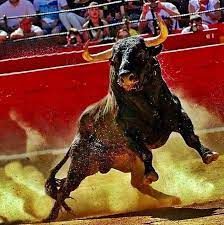 Pin By Anveca On Irish Terrier Dogs Bull Painting Bull Art Animals Beautiful