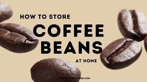 Storing coffee beans in the bag they came in may be a big mistake if the bag is made of plain paper or plastic. How To Store Coffee Beans 5 Tips You Can Do Now At Home