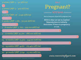 Pregnancy Test Hcg Level Chart Pregnancy Symptoms