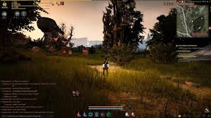 Pin Auf Black Desert Online
