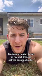 Laurie Tuttle Dog Training