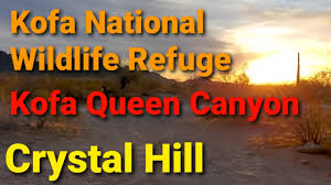 Kofa national wildlife refuge camping. Kofa National Wildlife Refuge Camping Crystal Hill Kofa Queen Canyon Rd Youtube