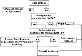 Challenging problems of modern medicine. Acute Ischemic Stroke Treatment In 2007 Circulation