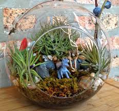 15 Lovely Terrariums That Would Liven Up Any Room Terrarium Air Plants Mini Plant Pots