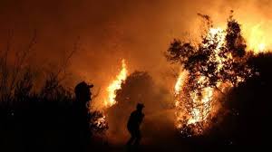 Φωτιά ξέσπασε πριν από λίγο στη λίμνη ευβοίας η φωτιά καίει δίπλα σε σπίτια στην είσοδο του οικισμού ενώ οι άνεμοι που πνέουν στην περιοχή είπα ο ισχυροί. Megalh Kinhtopoihsh Ths Pyrosbestikhs Gia Fwtia Sthn Eyboia Twra