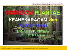 Materi plantae kelas 10 semester 2. Bahan Ajar Powerpoint Untuk Siswa Sma Kelas X Ppt Download