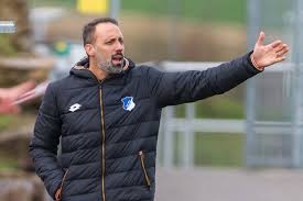 He was previously a youth coach of 1.fc nürnberg and 1899 hoffenheim. Pellegrino Matarazzo Promoted To Assistant At Tsg Hoffenheim Columbia University Athletics