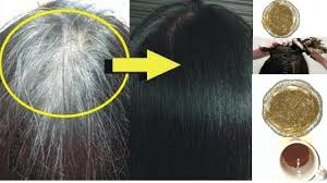 Gray hair doesn't necessarily mean that you have a shorter lifespan. Home Remedies To Turn White Hair Black Without Chemical Dyes Health Gadgetsng