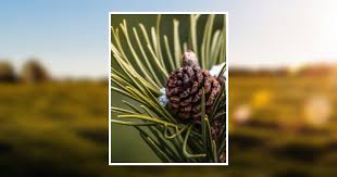 Ivan James Nutting Jr Obituary September 3, 2019