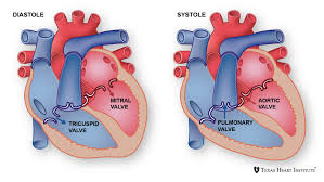 Diseases Of The Aortic Valve Texas Heart Institute